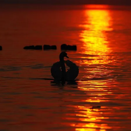 Słoneczna Przystań Kwatera prywatna Jarosławiec