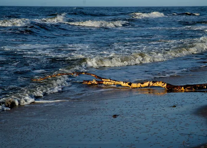 Sloneczna Przystan Habitación en casa particular