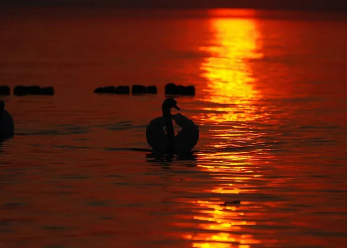 Sloneczna Przystan Privatunterkunft Jarosławiec